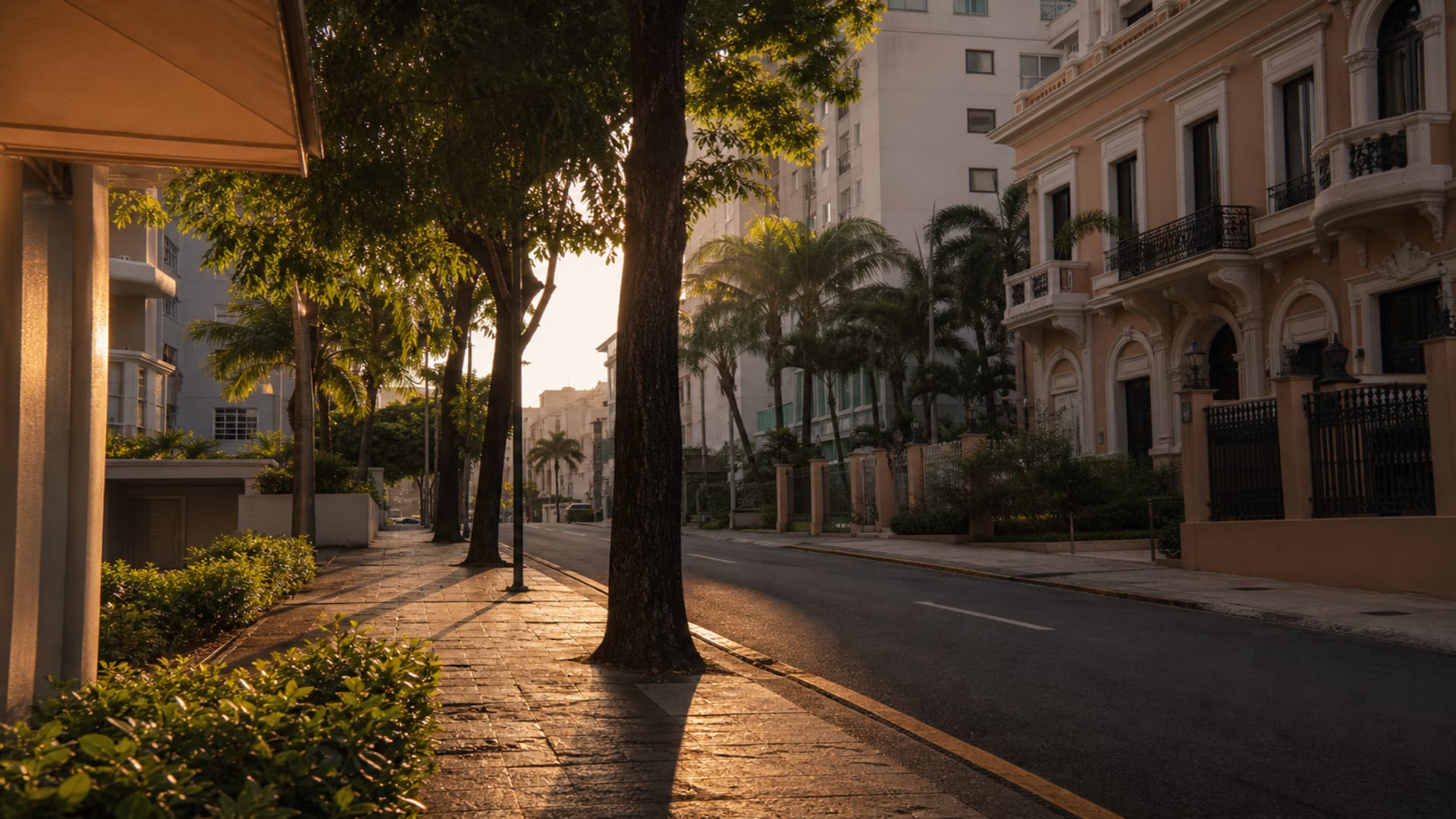 San Juan travel guide: How to experience the city without rushing 15 Condado