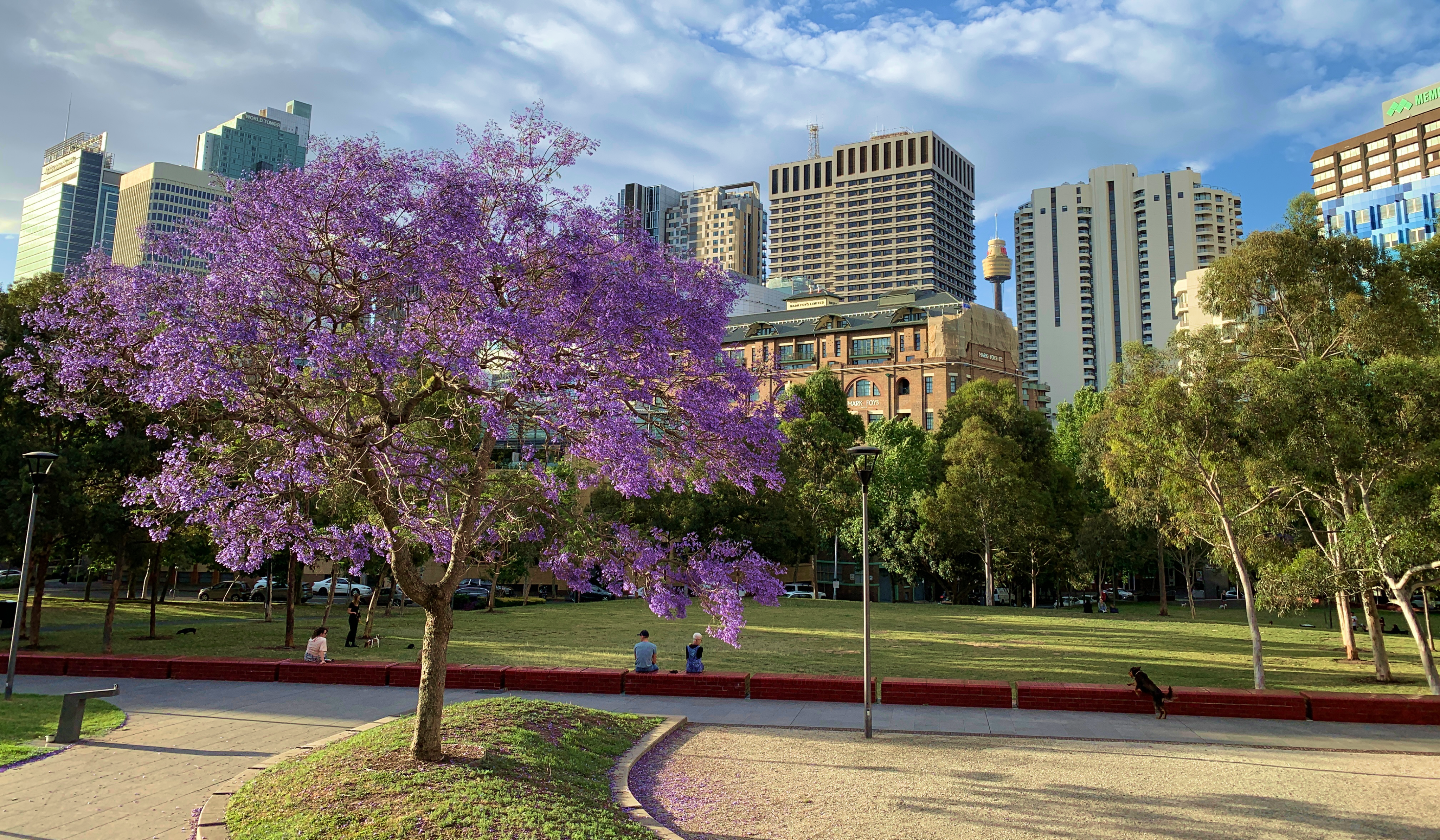 Sydney travel guide: How to experience the city without rushing 17 Surry Hills