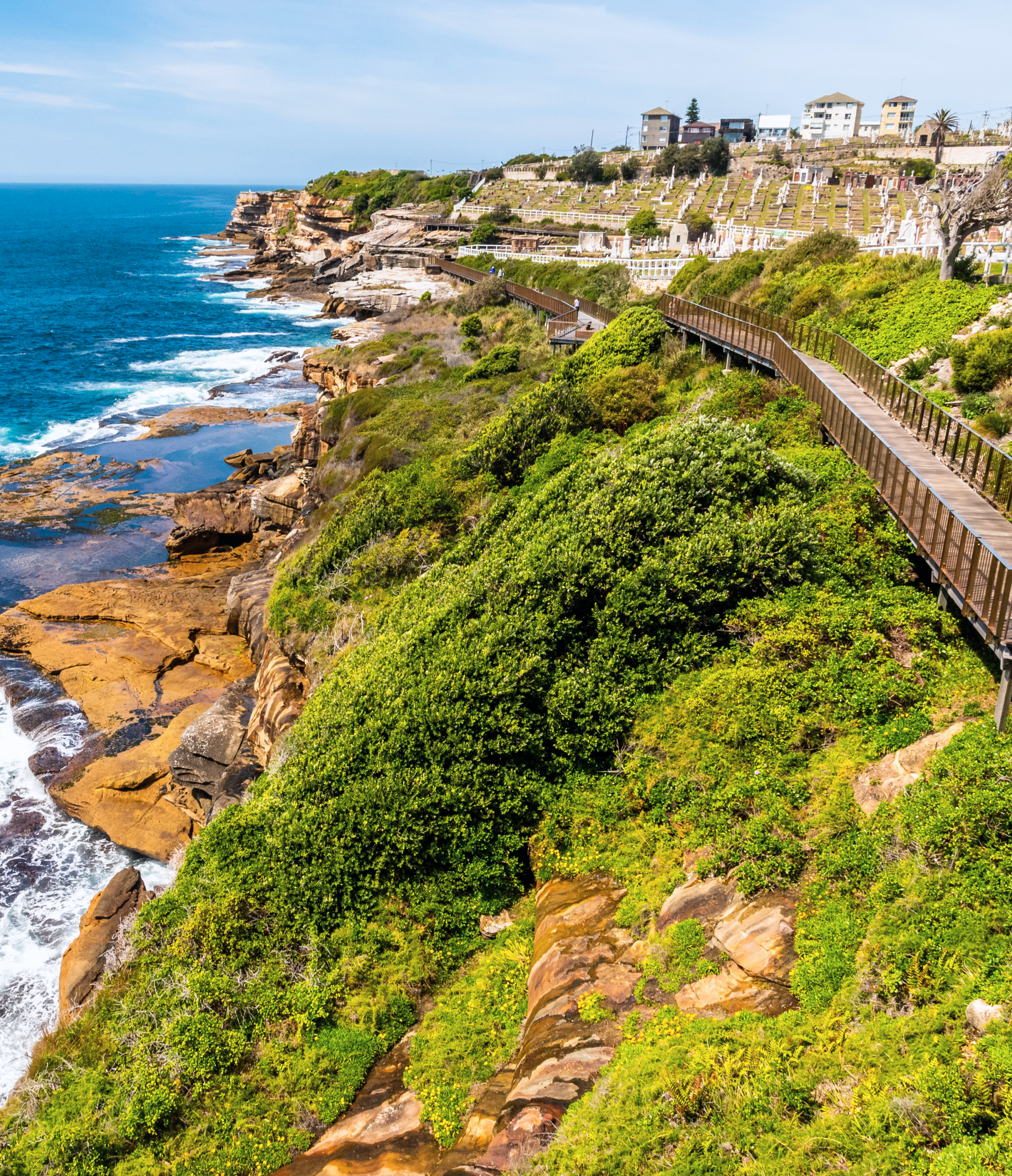 Bondi to Coogee Coastal Walk