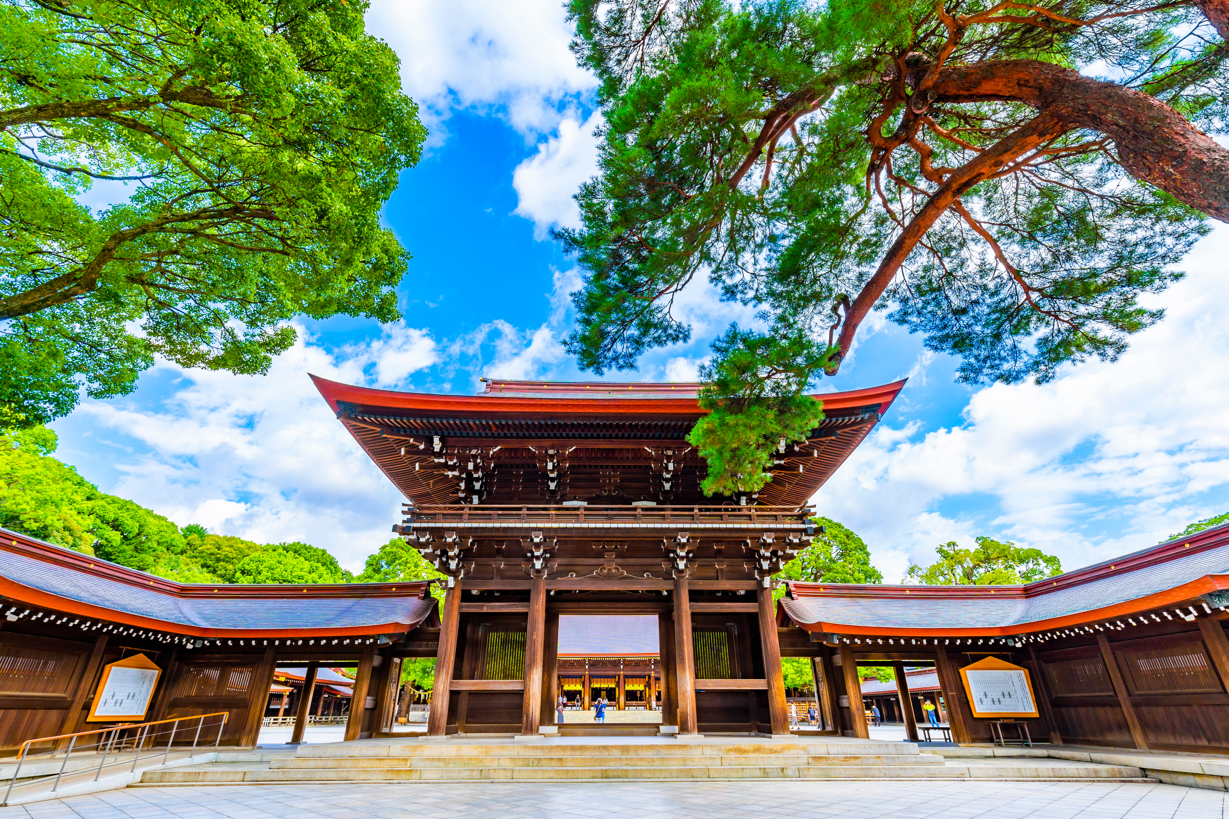 Day 3: Meiji Jingu and Harajuku