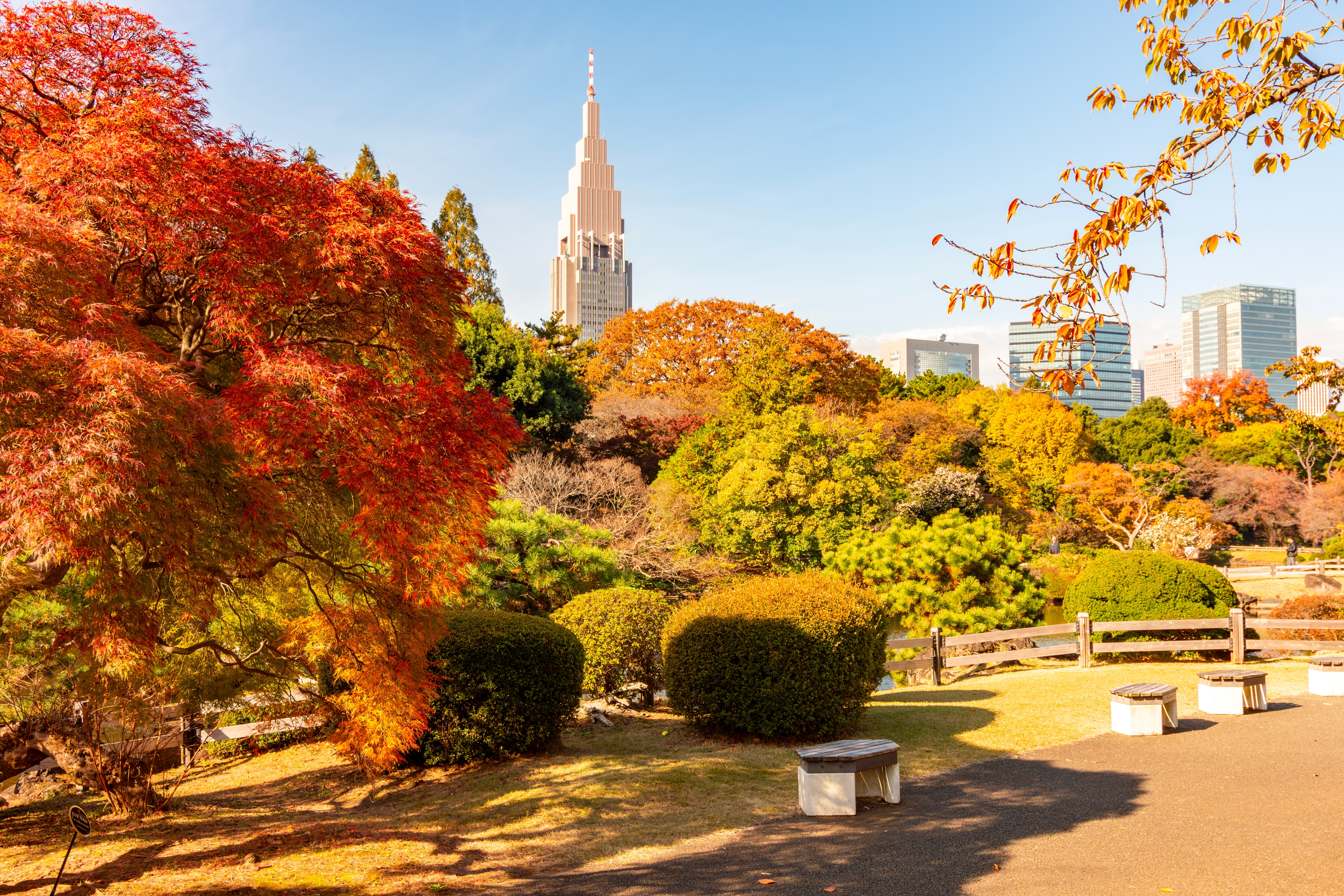 Shinjuku