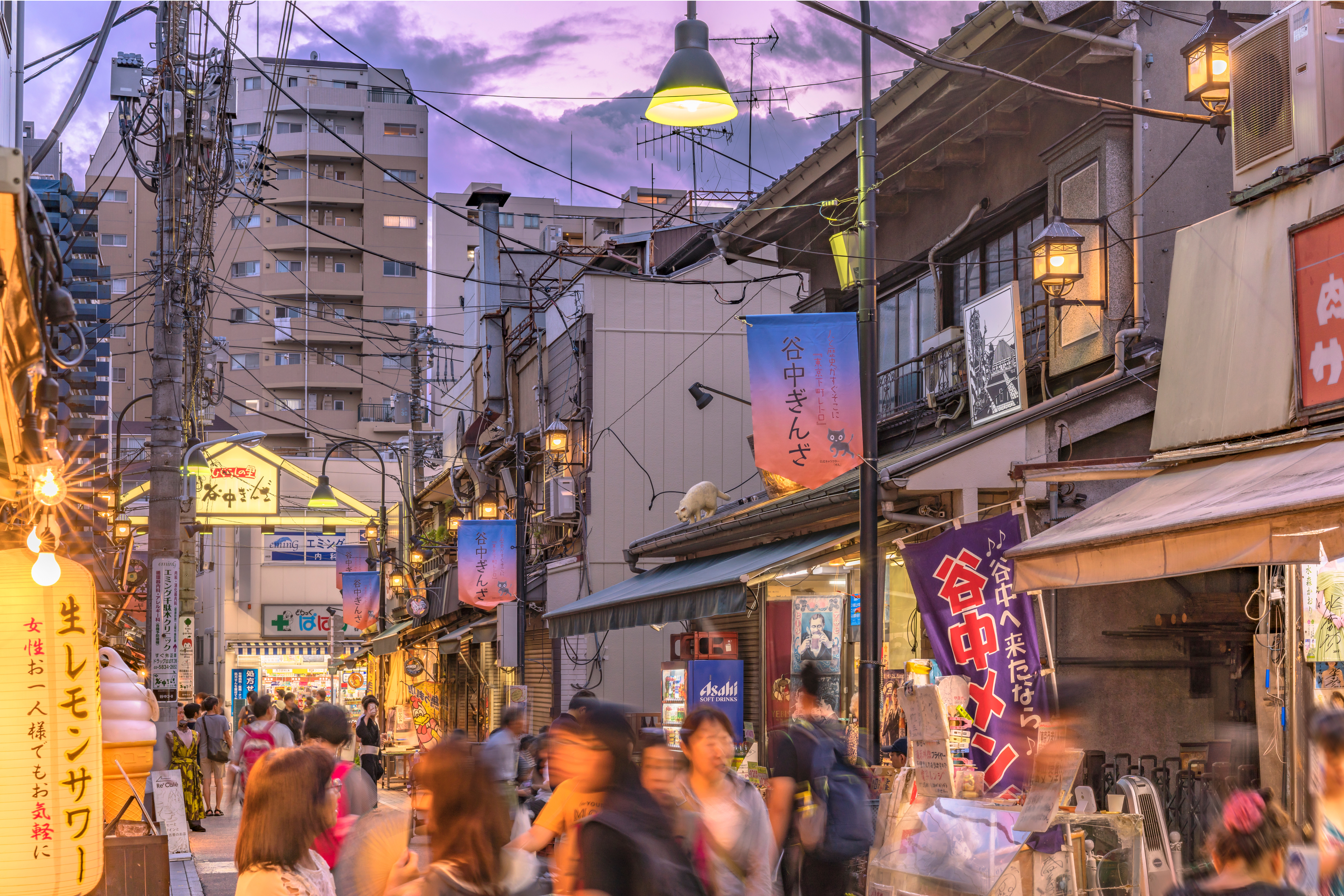 Yanaka Ginza (Yanaka shopping street)