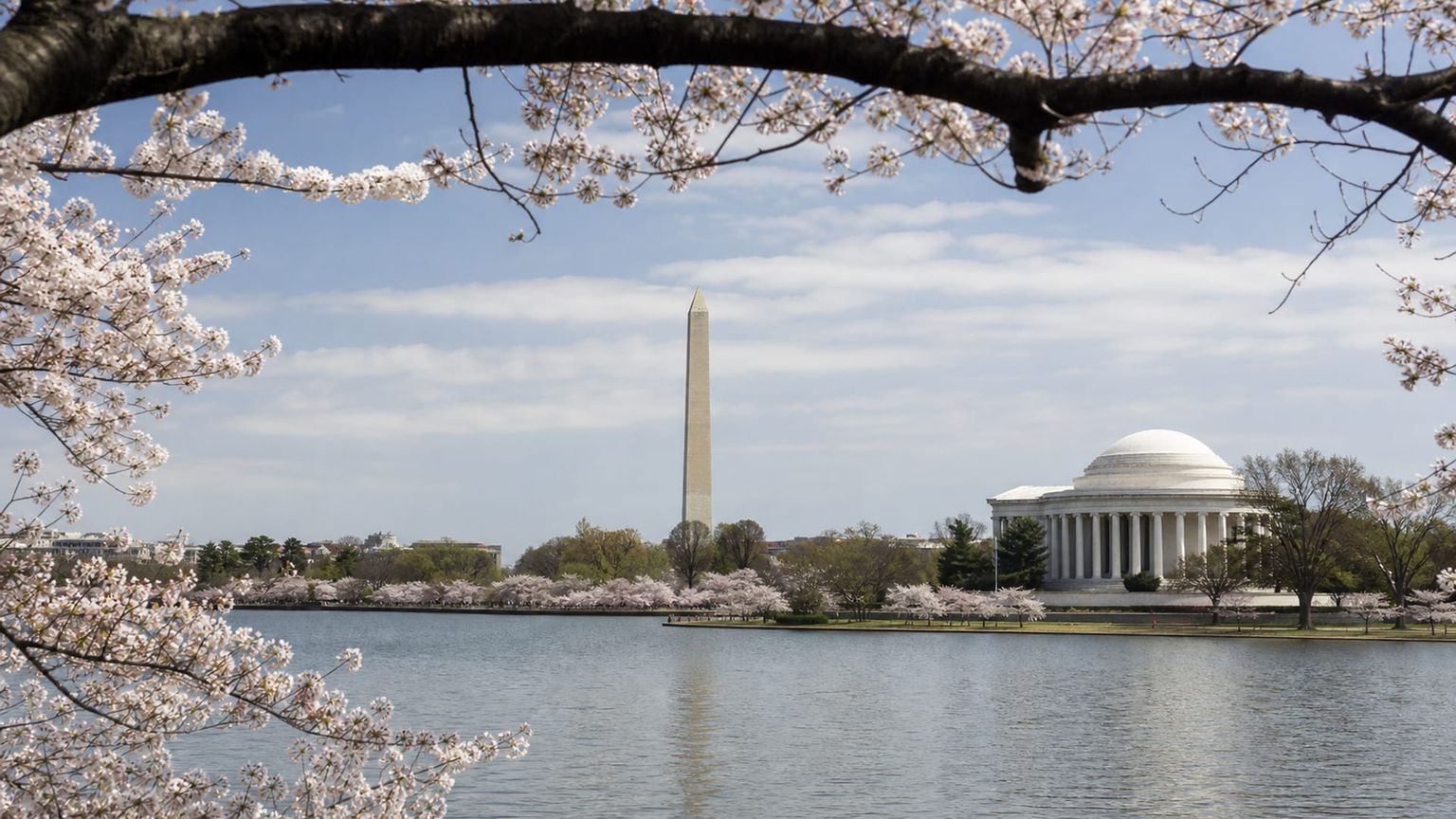 Washington travel guide: How to experience the city without rushing 3 Useful things to know