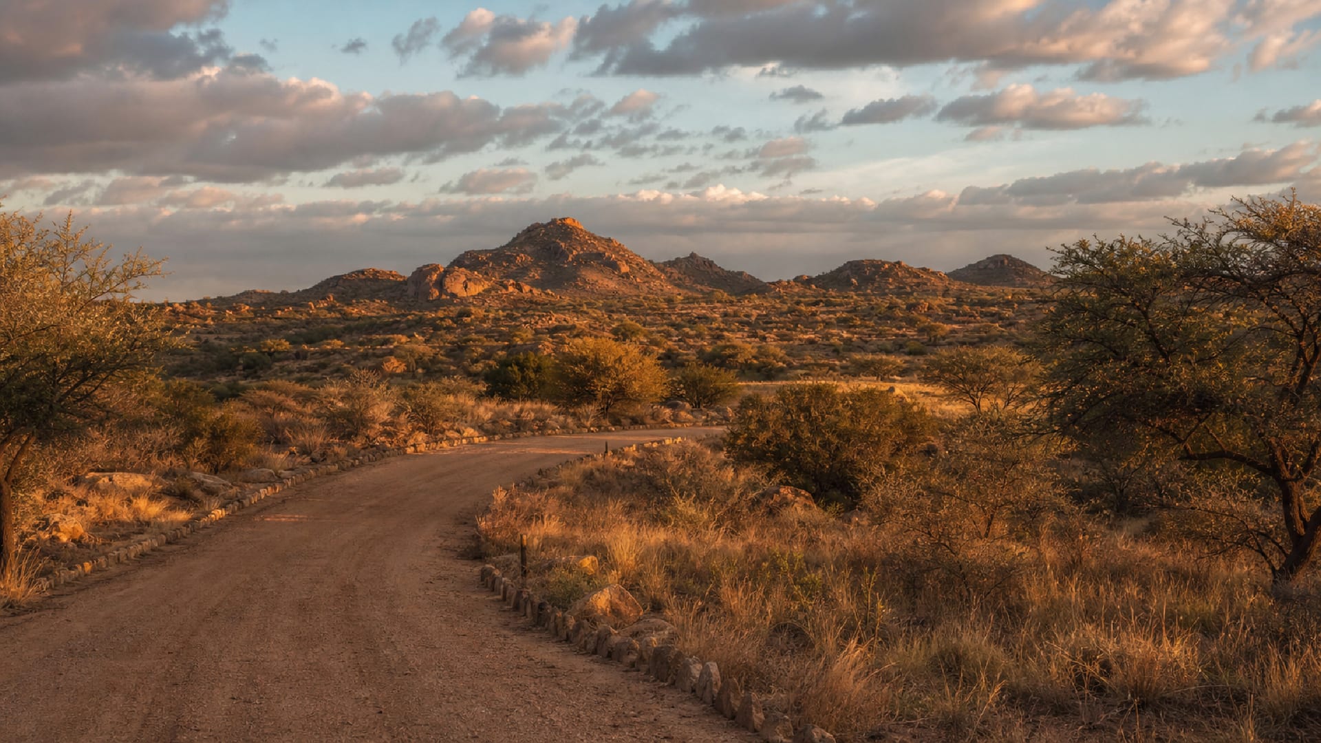 Windhoek travel guide: How to experience the city without rushing 30 Day 4: Daan Viljoen Reserve