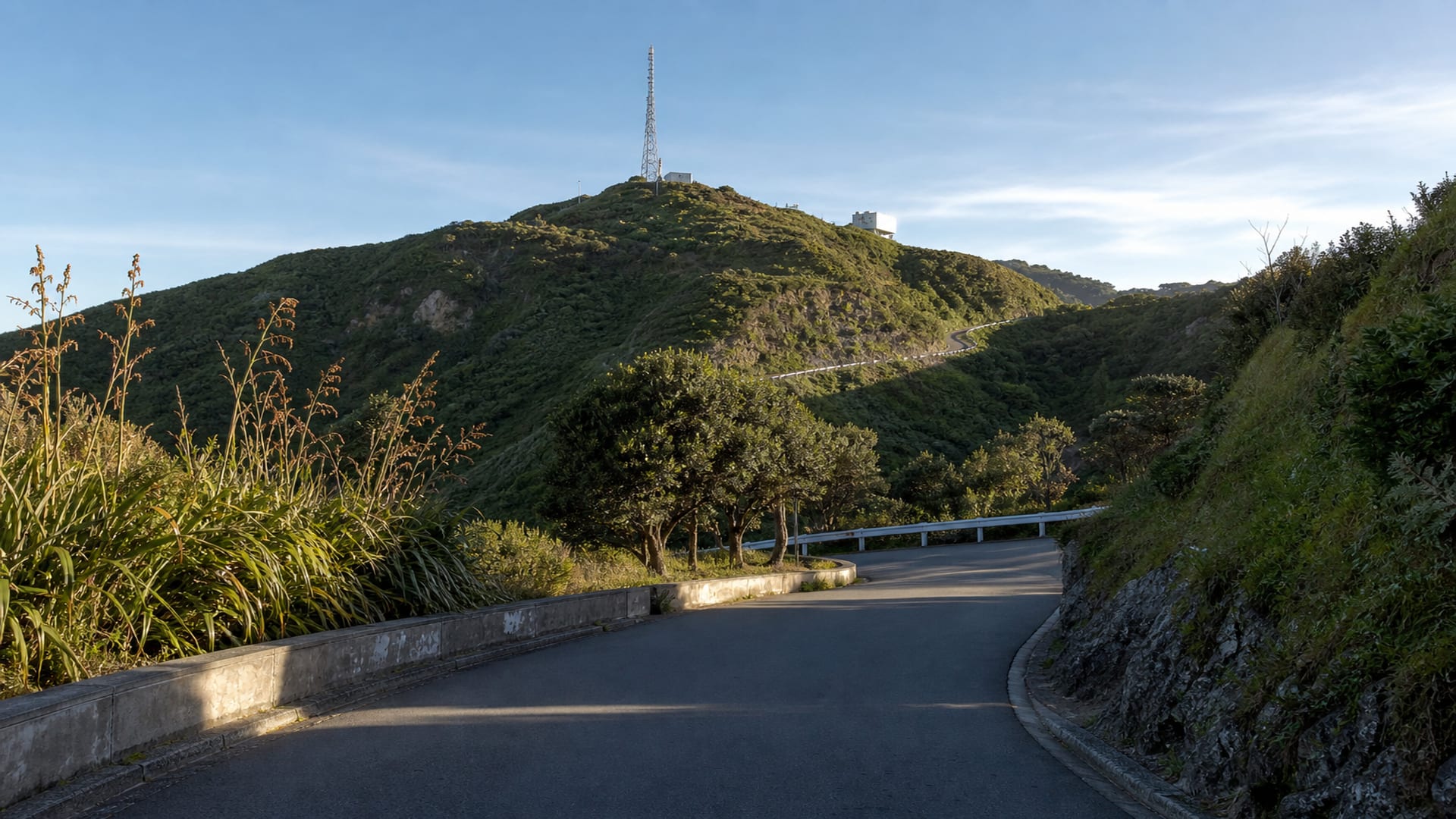 Wellington travel guide: How to experience the city without rushing 17 Mount Victoria
