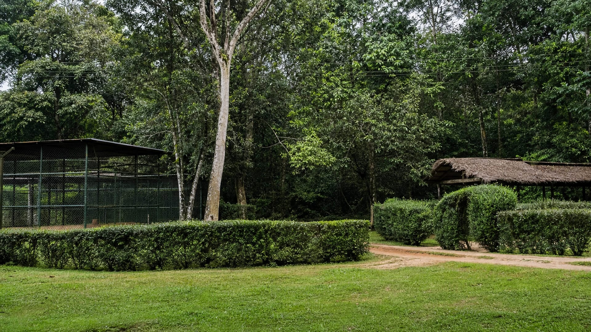 Yaoundé travel guide: How to experience the city without rushing 29 Day 3: Mefou Wildlife Day