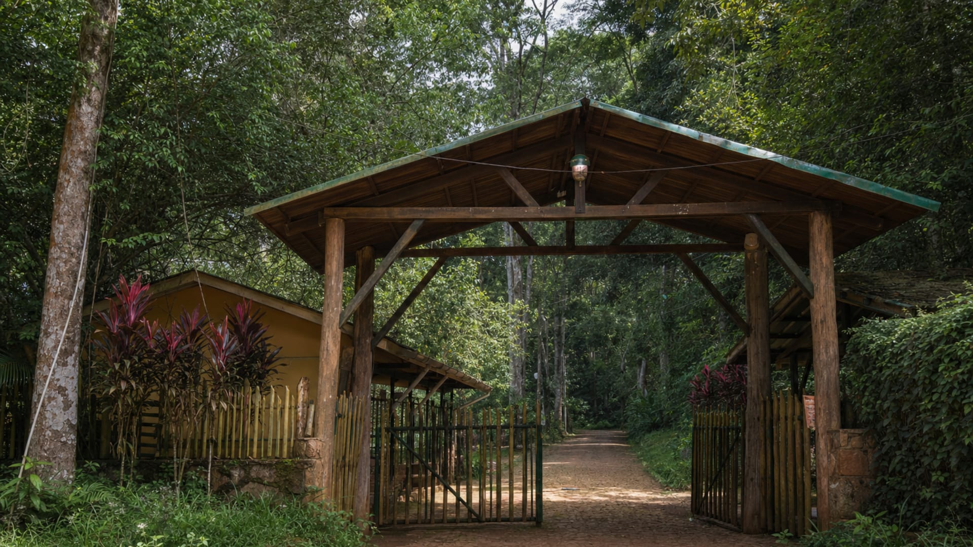 Yaoundé travel guide: How to experience the city without rushing 23 Mefou National Park and Zoo