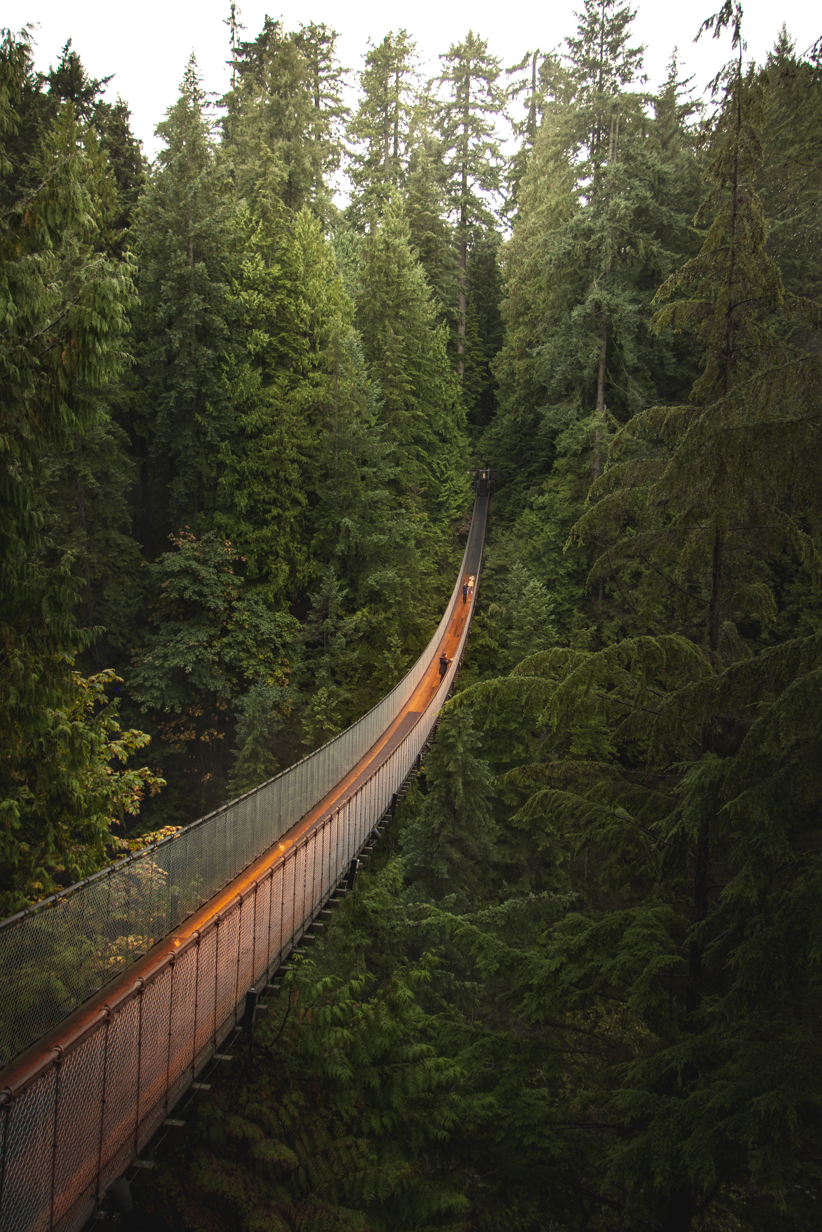 Vancouver travel guide: How to experience the city without rushing 22 Capilano Suspension Bridge Park