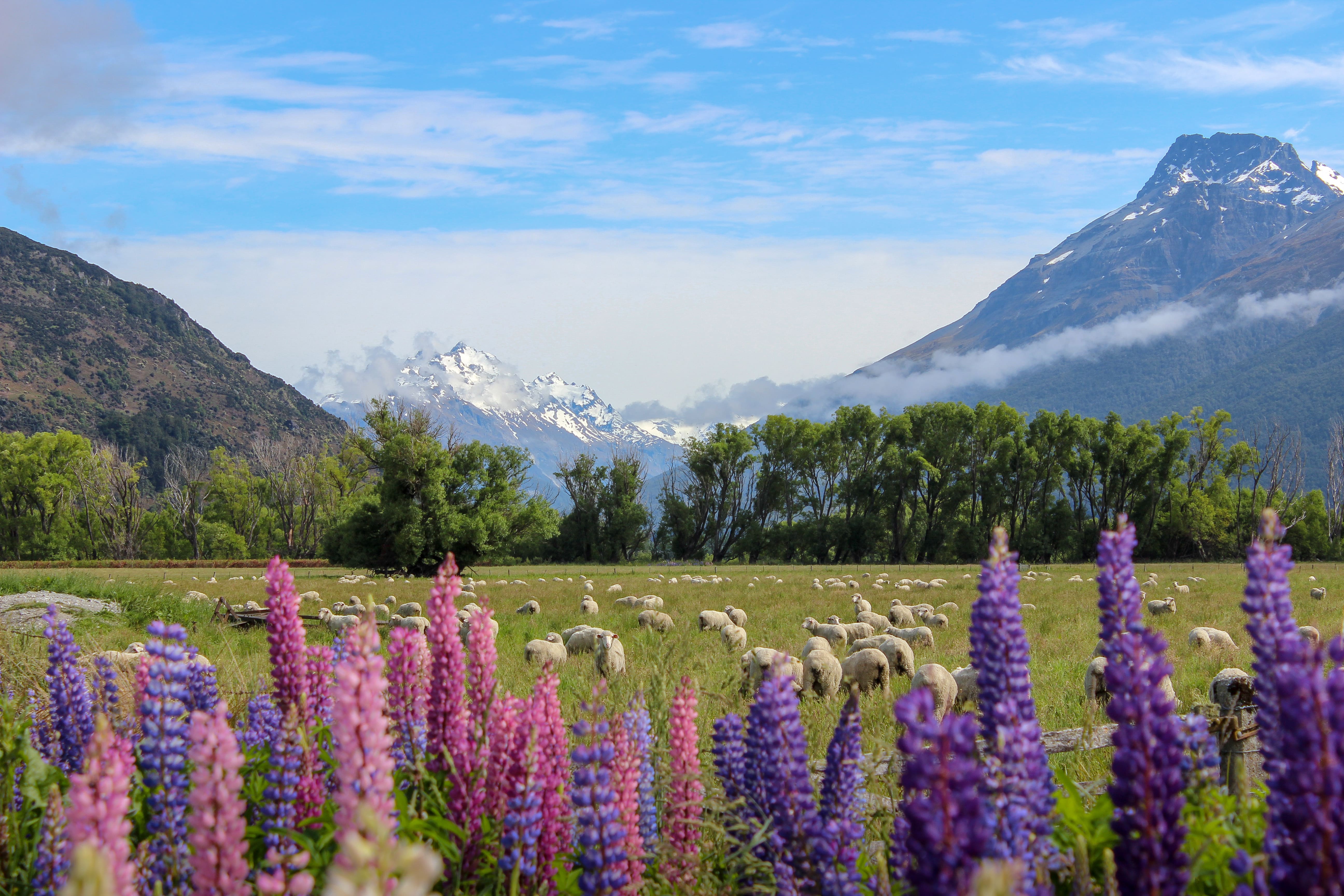 12 Best Fall Travel Destinations for Exclusive, Comfortable, and Scenic Travel 5 queenstown new zealand arangrant