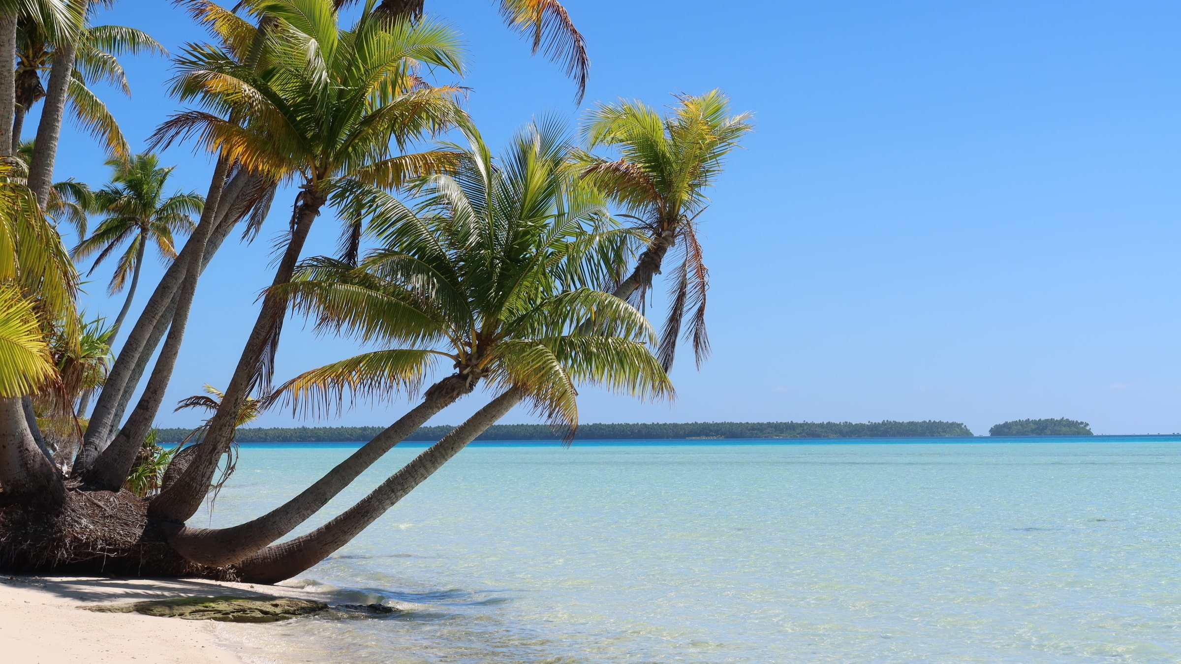 Escape the Cold: Top Luxury Tropical Resorts for Your Winter Getaway 3 the brando french polynesia arangrant