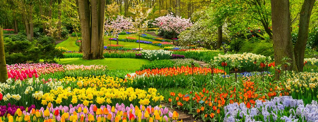Arangrant’s Hot Picks: Best Places to Visit in April