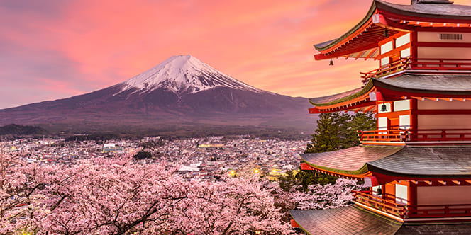 cherry blossom tokyo Explore Arangrant's Top 7 March Travel Destinations for an Unparalleled Experience