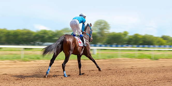 Explore Arangrant's Top 7 March Travel Destinations for an Unparalleled Experience 7 dubai world cup Explore Arangrant's Top 7 March Travel Destinations for an Unparalleled Experience