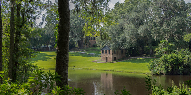 What to Do for Memorial Day: Honoring This Significant Day 12 An aerial view of Middleton Place Plantation surrounded by dense trees in Charleston What to Do for Memorial Day: Honoring This Significant Day