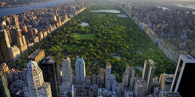 What to Do for Memorial Day: Honoring This Significant Day 7 New York City What to Do for Memorial Day: Honoring This Significant Day