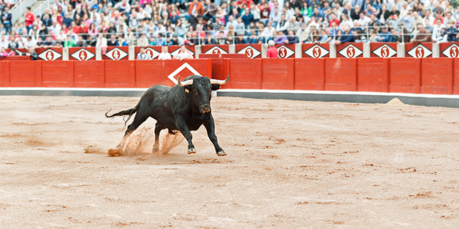 Where to Travel in July: 12 Places for Maximum Delight 2 san fermin in pamplona Where to Travel in July: 12 Places for Maximum Delight