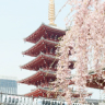 Cheap Business Class 19 tokyo tyo Cheap Business Class