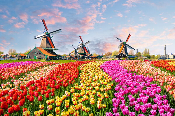 Promo offers 17 AMS Amsterdam Netherlands Promo offers