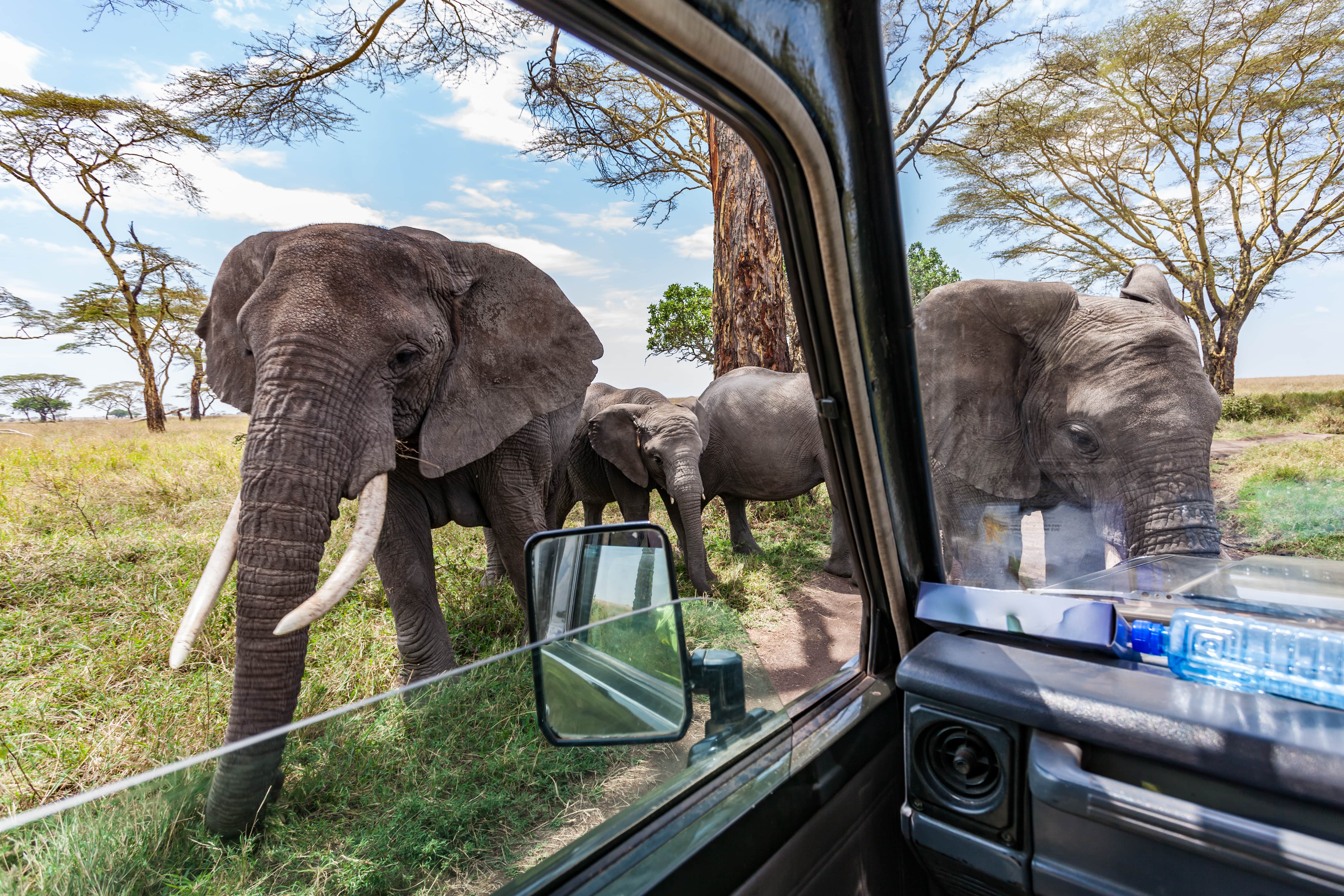 A Kaleidoscope of 2026 Luxury Travel Destinations for Every Taste 7 tanzania arangrant