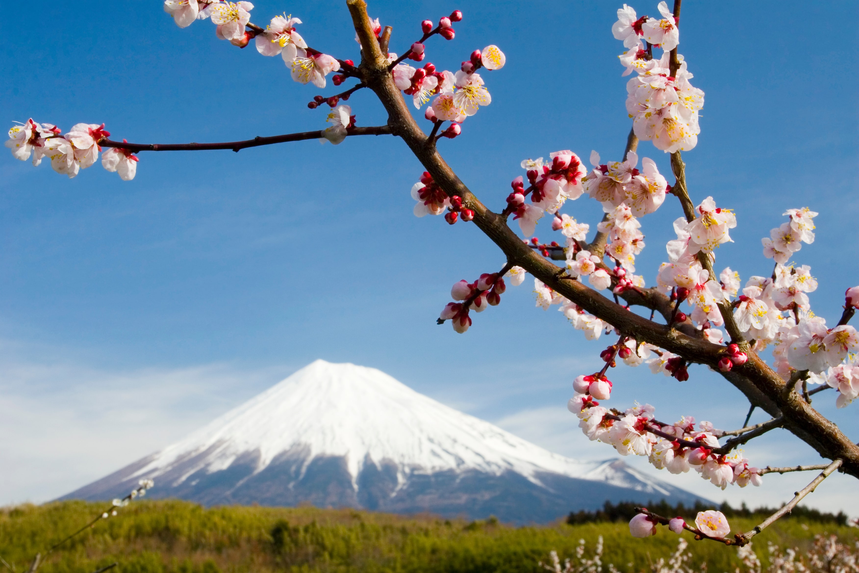 Romantic Destinations for Couples: Your Best Valentine's Day Yet 11 japan arangrant