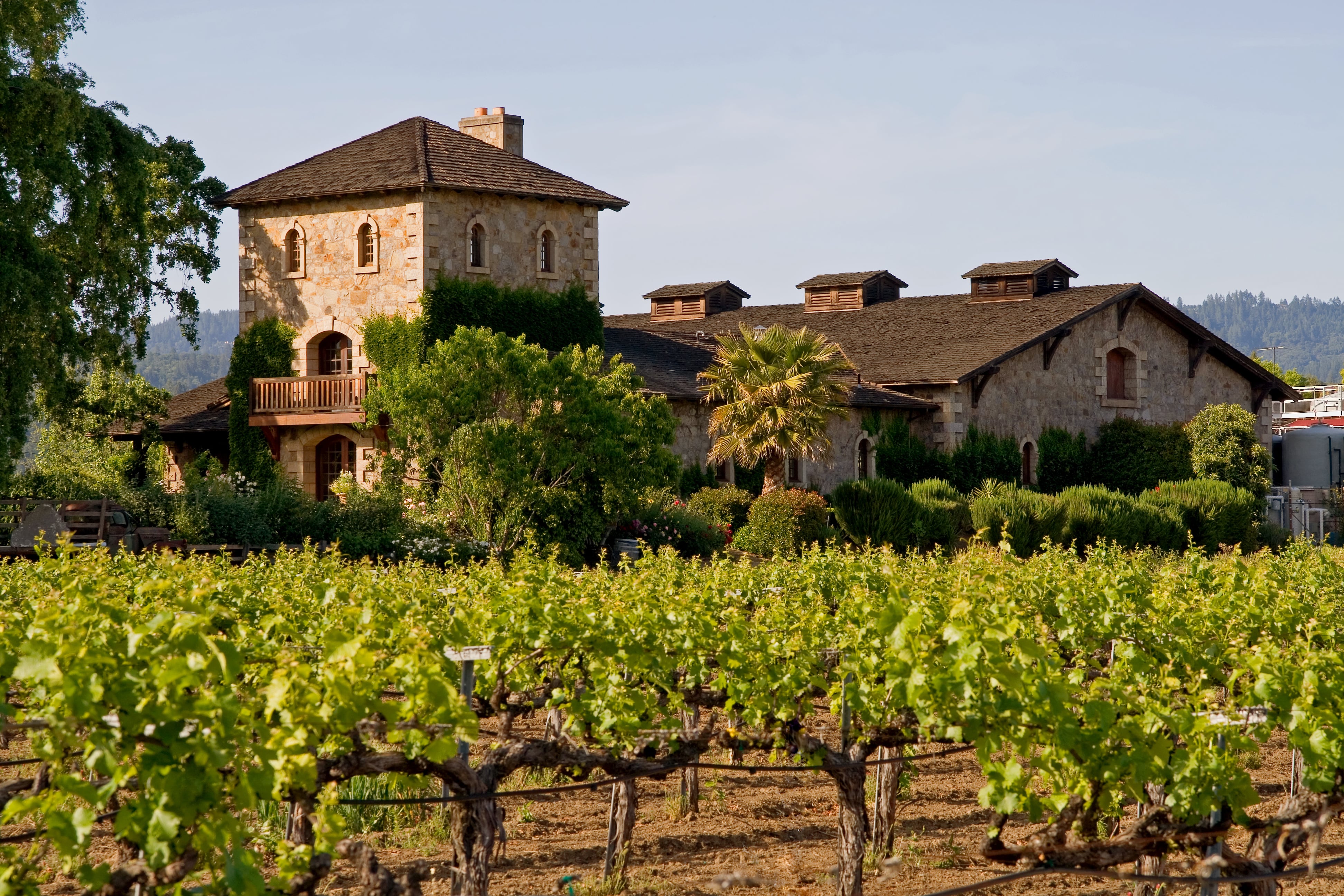 Romantic Destinations for Couples: Your Best Valentine's Day Yet 3 napa valley arangrant