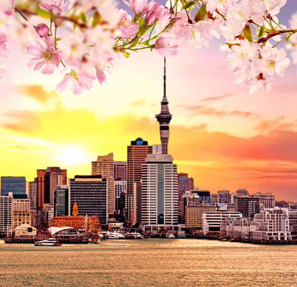 Early Birds 40 AKL Auckland New Zealand eb Early Birds
