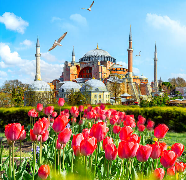 Early Birds 41 IST Istanbul Turkey eb Early Birds