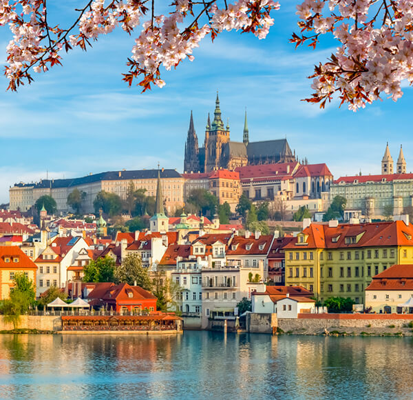Early Birds 39 PRG Prague Czech Republic eb Early Birds
