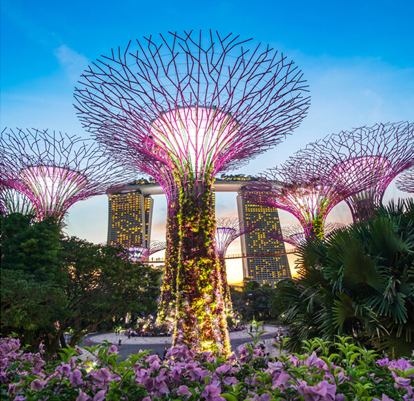 Early Birds 35 SIN Singapore Singapore eb Early Birds