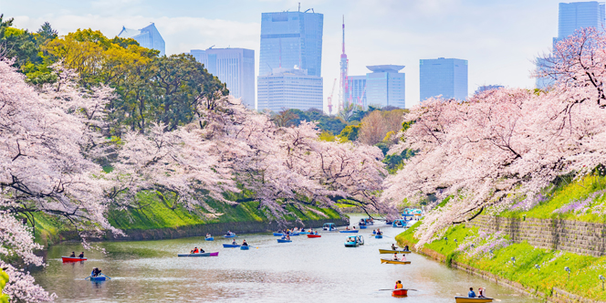 Exclusive Spring Events Calendar 2026: Elite Travel Guide 2 spring events 2025 - Cherry Blossom Festivals