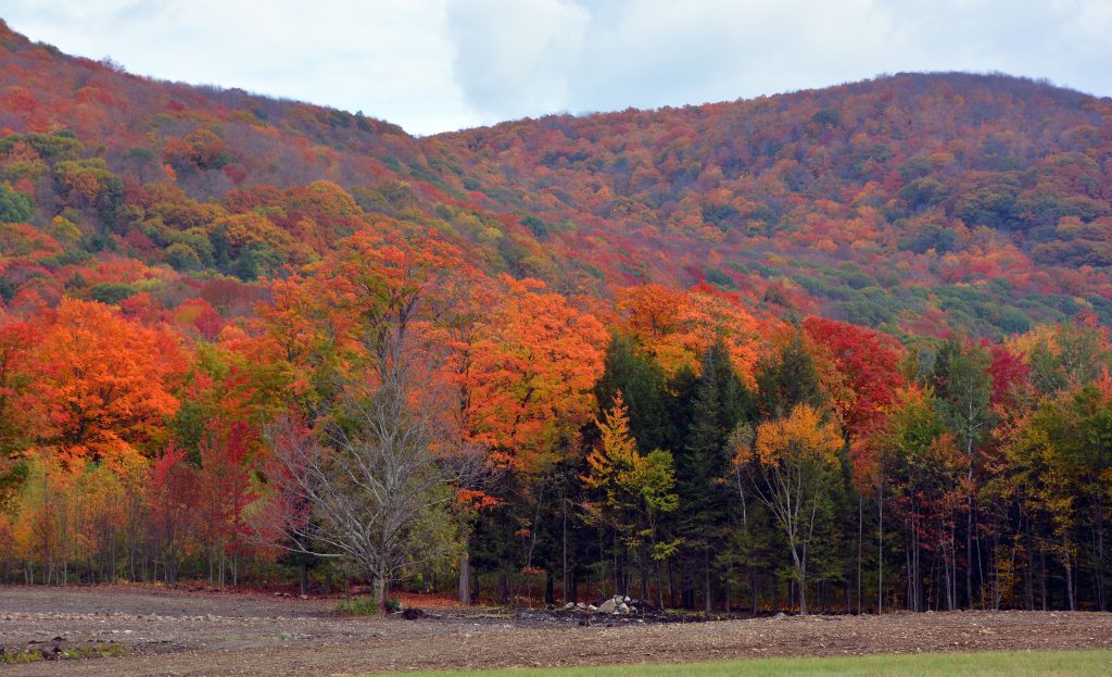 5 Off the Beaten Path Travel Regions for Luxury US Travelers 7 eastern townships quebec canada arangrant