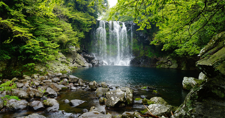 Best Wellness Retreats in the World 9 Wellness Retreats - WE Hotel Jeju