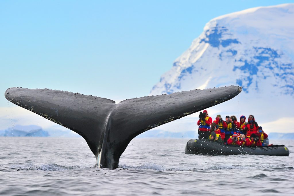 6 Emerging Luxury Escapes That Will Enchant Any Traveler 3 antarctica arangrant