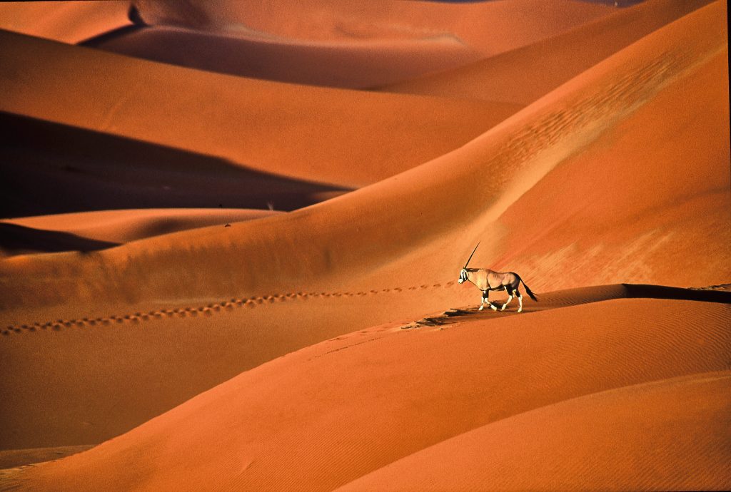 6 Emerging Luxury Escapes That Will Enchant Any Traveler 6 namibia arangrant