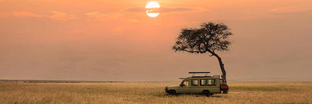 safari game drive vehicle wildlife viewing arangrant
