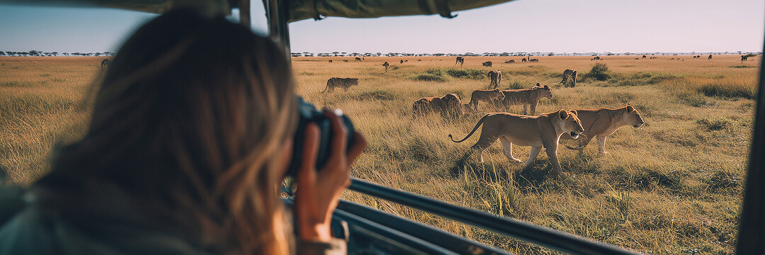 Best Safari Destinations: Which to Choose in Africa 5 south africa safari kruger first time experience arangrant