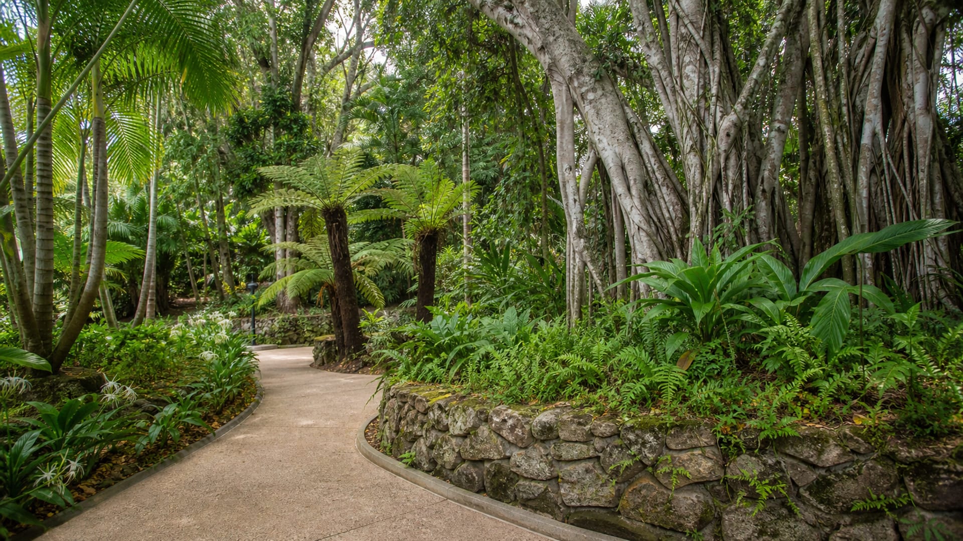 Cairns travel guide: How to experience the city without rushing 29 Day 3: Botanic Gardens