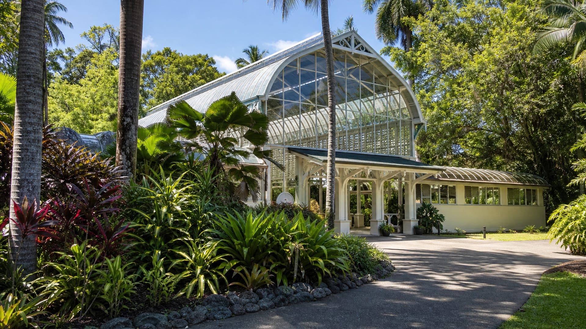 Cairns travel guide: How to experience the city without rushing 22 Cairns Botanic Gardens