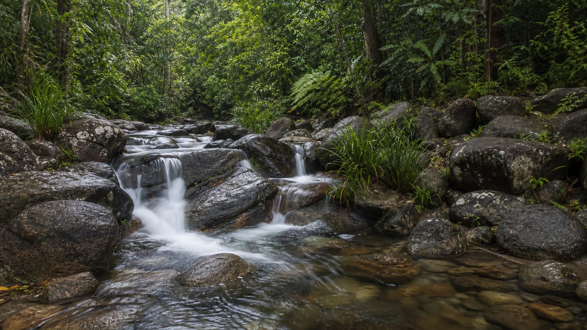 Cairns travel guide: How to experience the city without rushing 23 Crystal Cascades