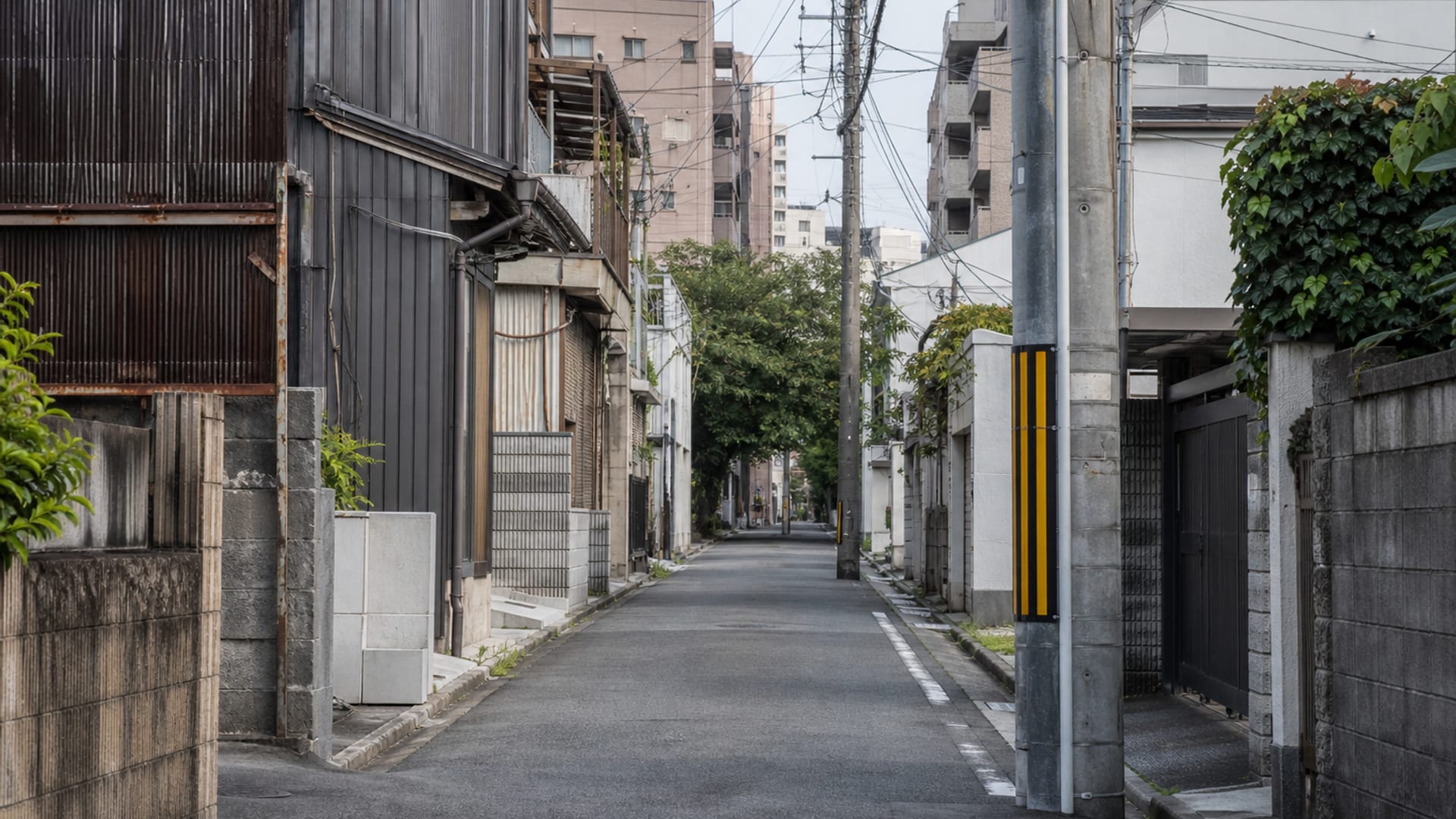 Nagoya travel guide: How to experience the city without rushing 3 Useful things to know