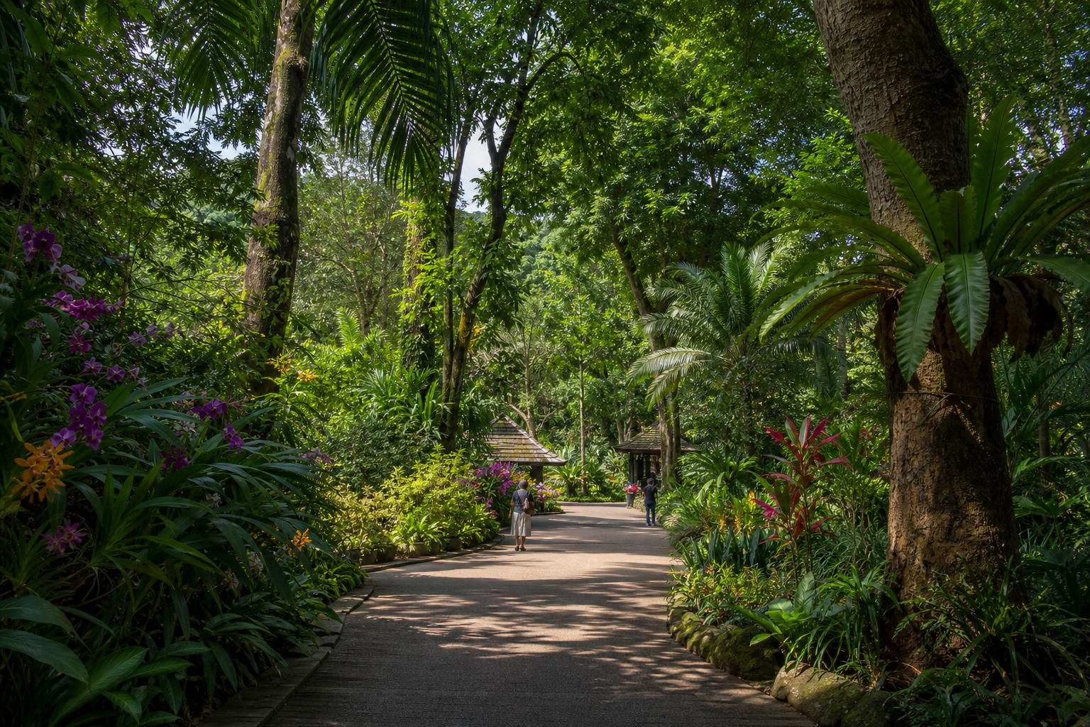 Singapore Botanic Gardens (UNESCO)