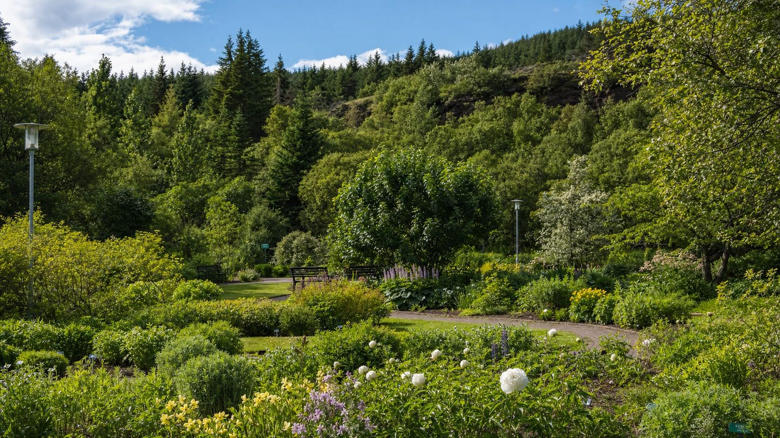 Akureyri travel guide: How to experience the city without rushing 22 Akureyri Botanical Garden