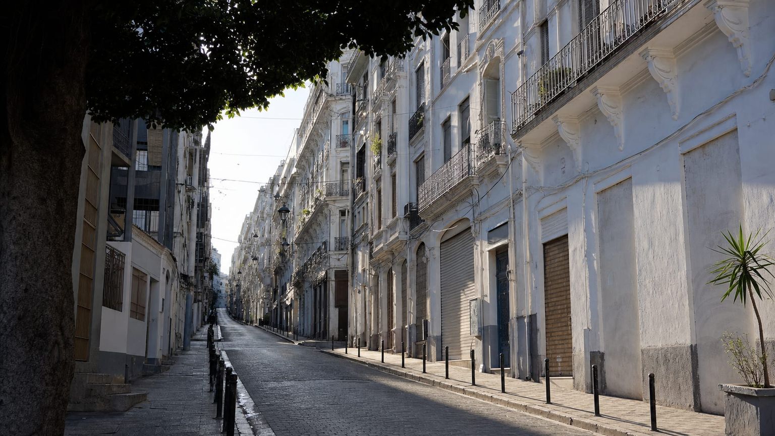 Algiers travel guide: How to experience the city without rushing 15 Sidi M'Hamed