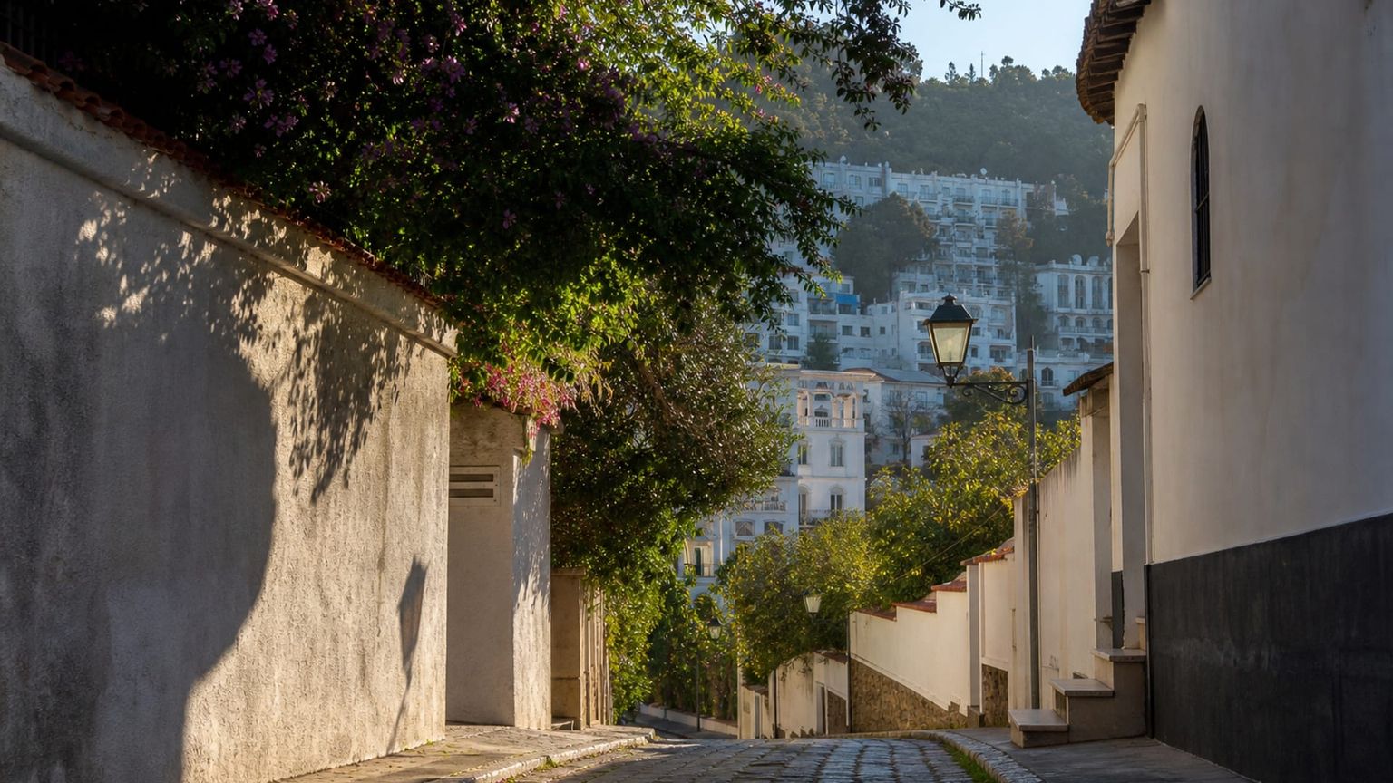 Algiers travel guide: How to experience the city without rushing 16 Hydra