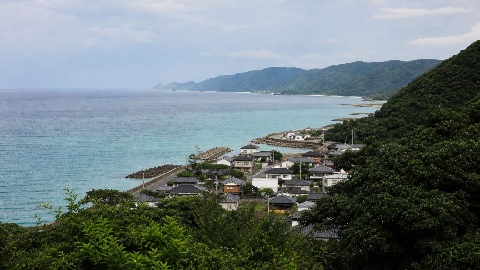 Amami travel guide: How to experience the city without rushing 3 Useful things to know