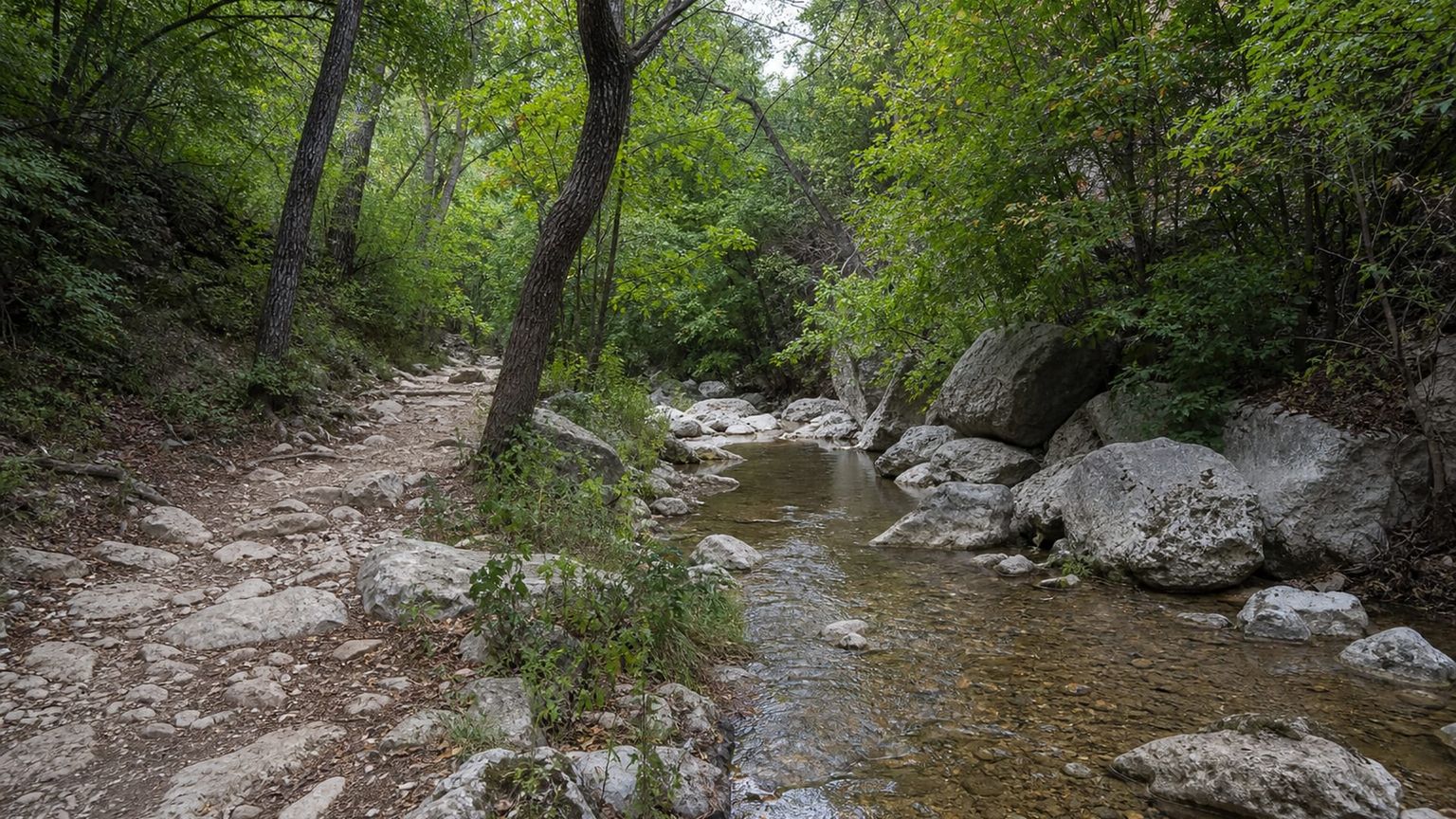 Austin travel guide: How to experience the city without rushing 30 Day 4: Greenbelt and Live Music