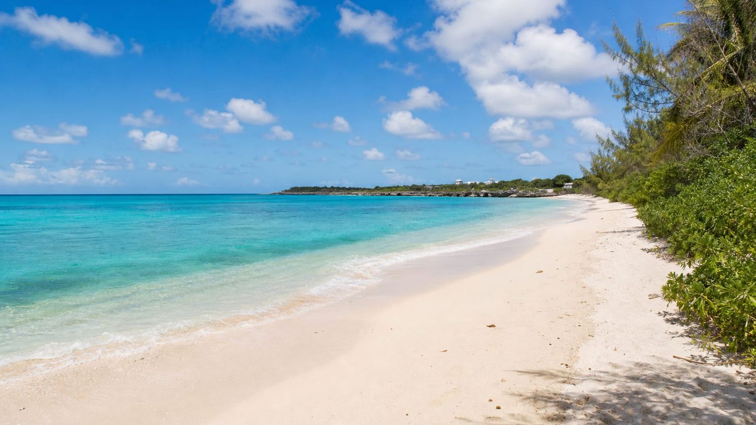 Anguilla travel guide: How to experience the city without rushing 25 Traditional food