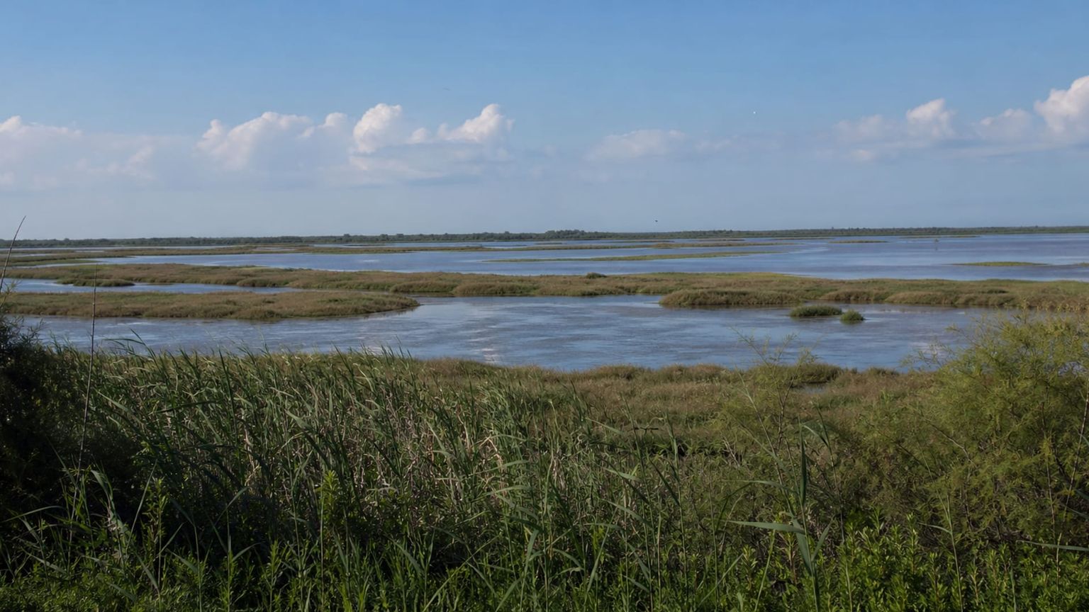 Alexandroupoli travel guide: How to experience the city without rushing 22 Evros Delta National Park