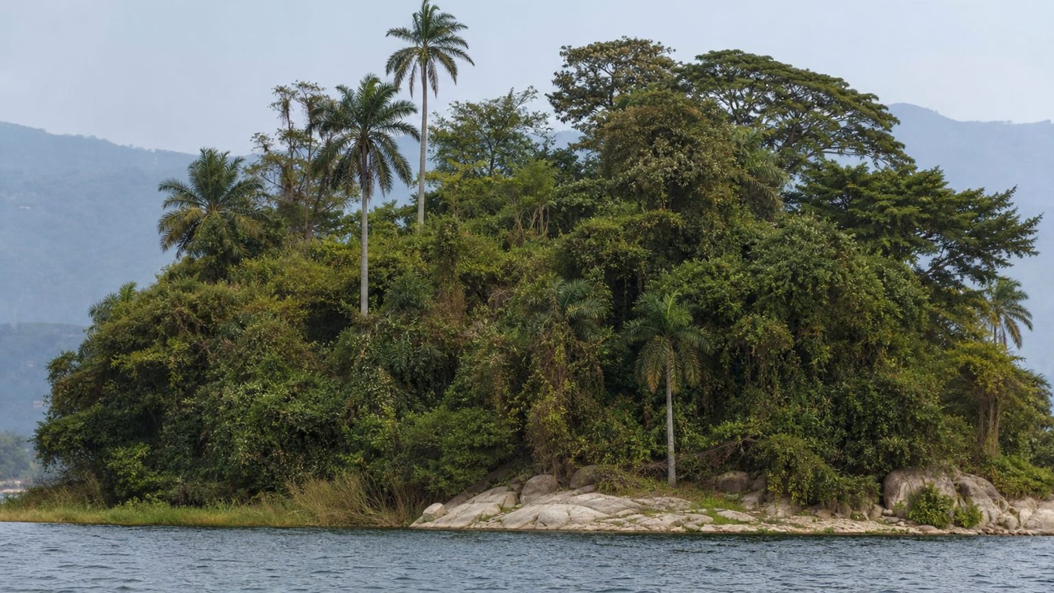Bujumbura travel guide: How to experience the city without rushing 28 Day 3: Rusizi Wetlands and Craft Culture