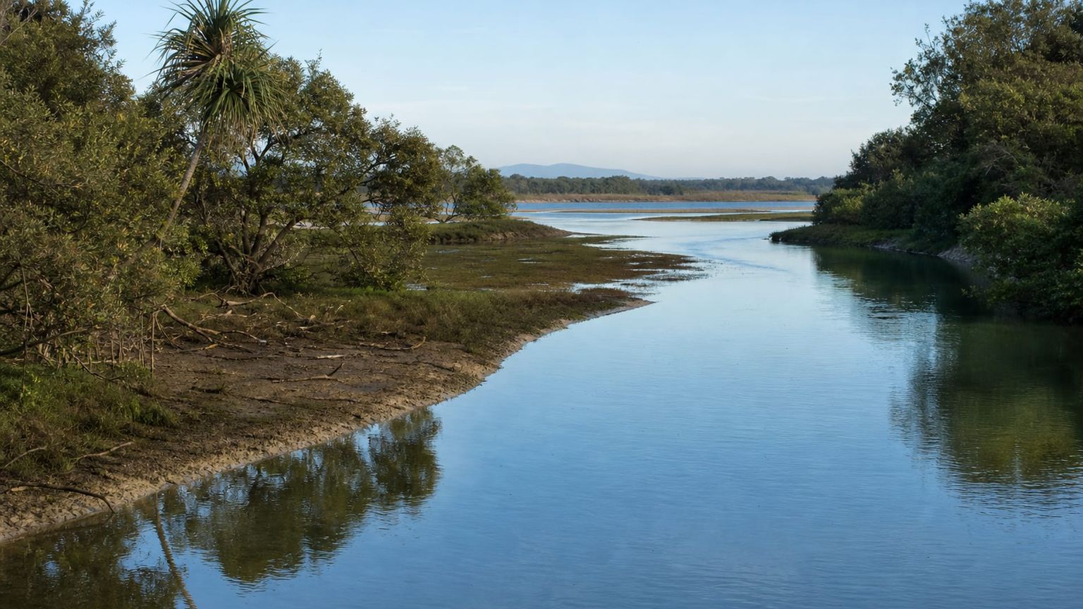 Ballina travel guide: How to experience the city without rushing 16 North Creek